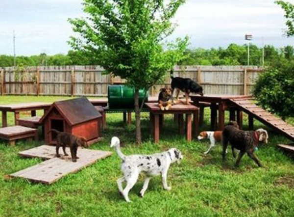 Taman dengan area bermain hewan peliharaan